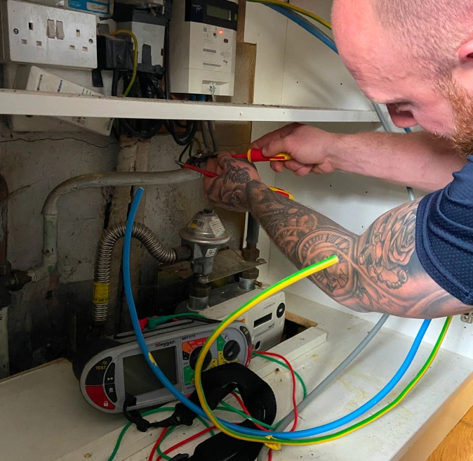 Domestic Electrician page image